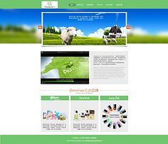 網頁與網站設計 打造卓越用戶體驗的關鍵要素