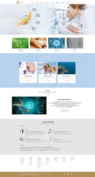 網(wǎng)頁與網(wǎng)站設計 構建數(shù)字世界的藝術與科學